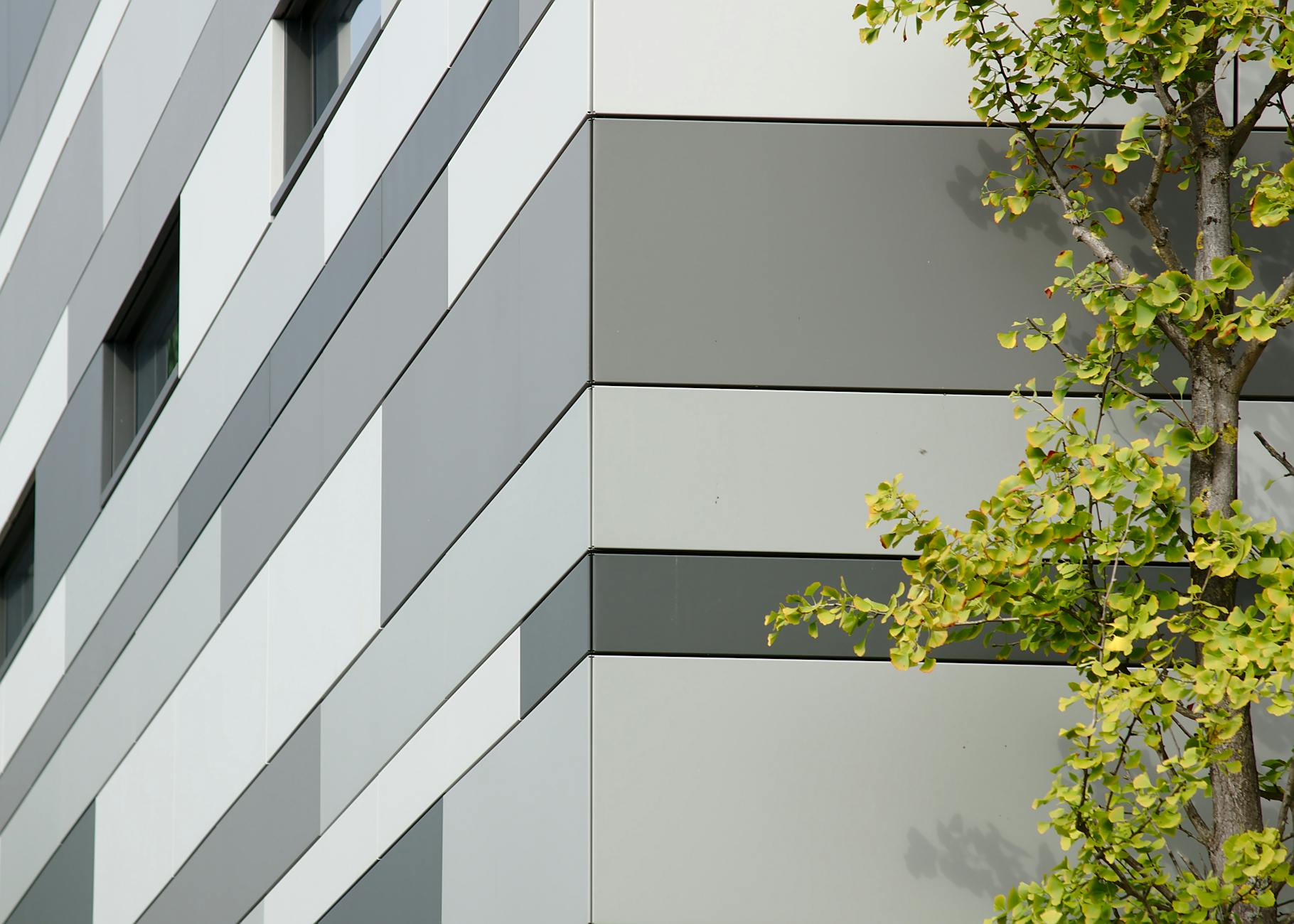 Cum să reduci risipa alimentară în gospodăria ta ecologică?