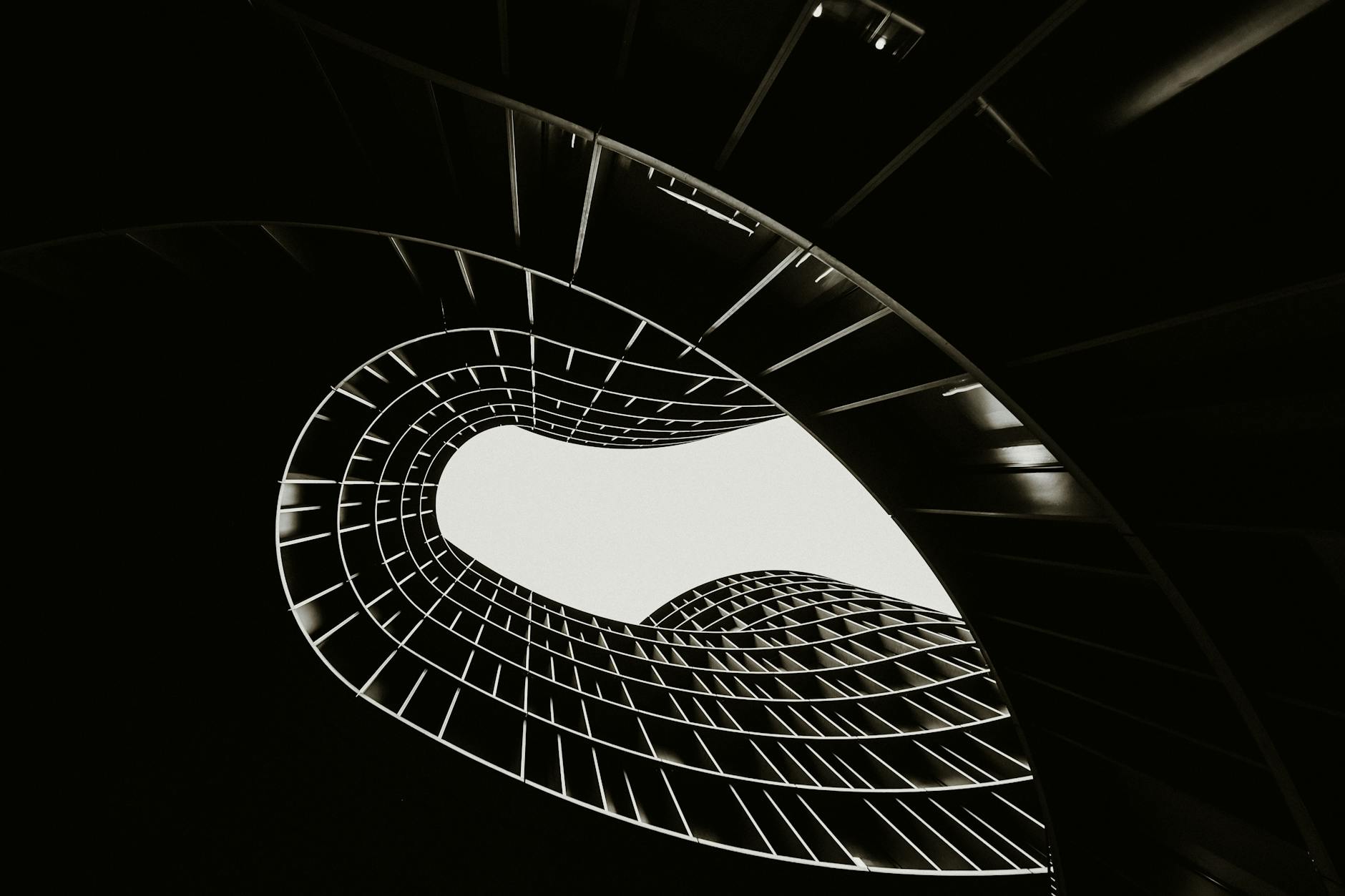 Ce sunt pereții vegetați și cum contribuie la un microclimat sănătos?