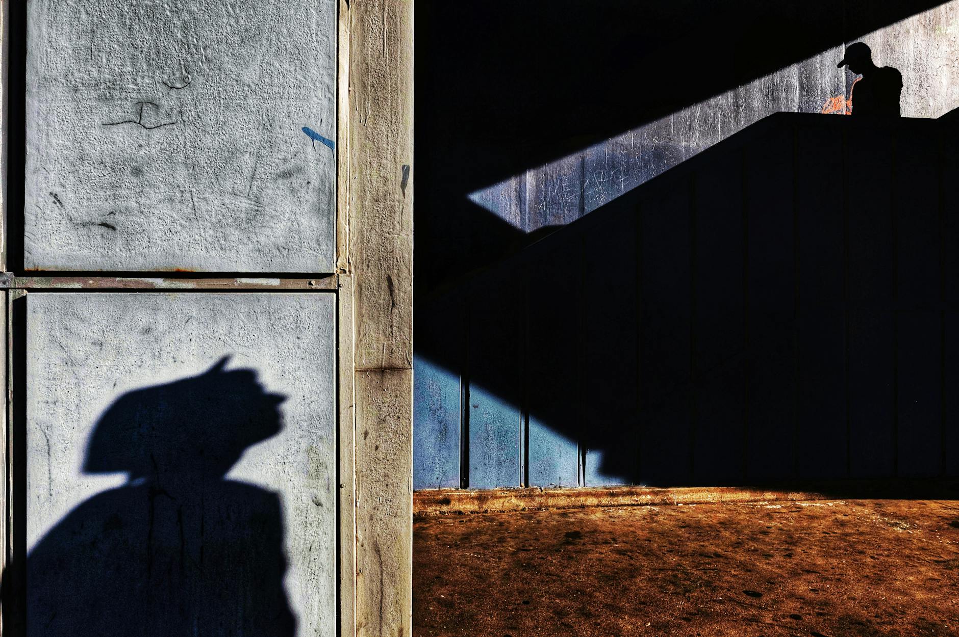 Ce sunt materialele biodegradabile și cum pot fi utilizate în construcții?