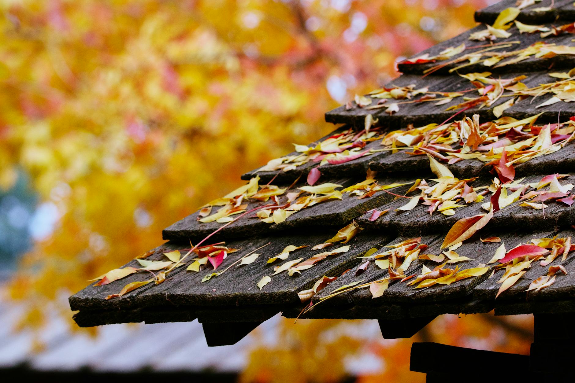 Ce sunt pereții termoactivi și cum ajută la eficiența energetică a caselor?